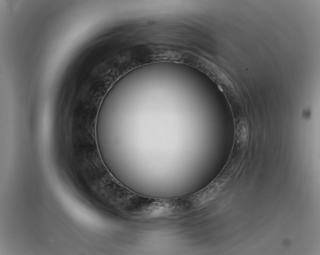 X0000097000764200802151414
