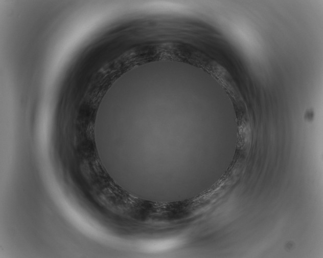 X0000097000765200802151414