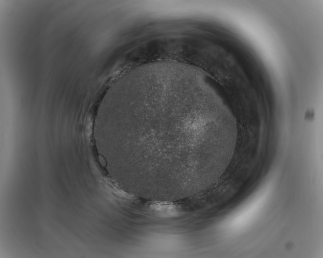 X0000097000767200802151414