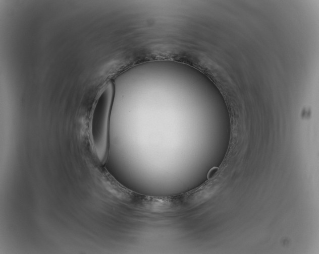 X0000097000768200802151414