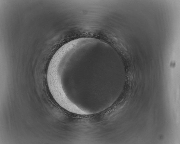 X0000097000769200802151413