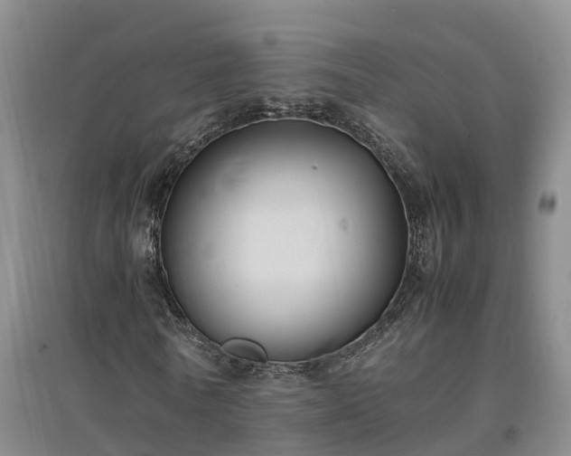 X0000097000770200802151413