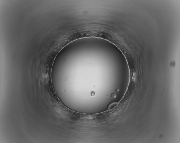 X0000097000771200802151413