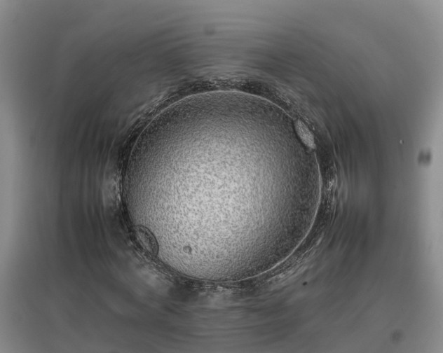 X0000097000772200802151413