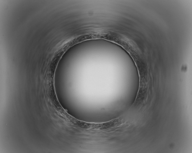 X0000097000773200802151413