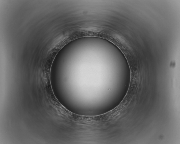 X0000097000774200802151413