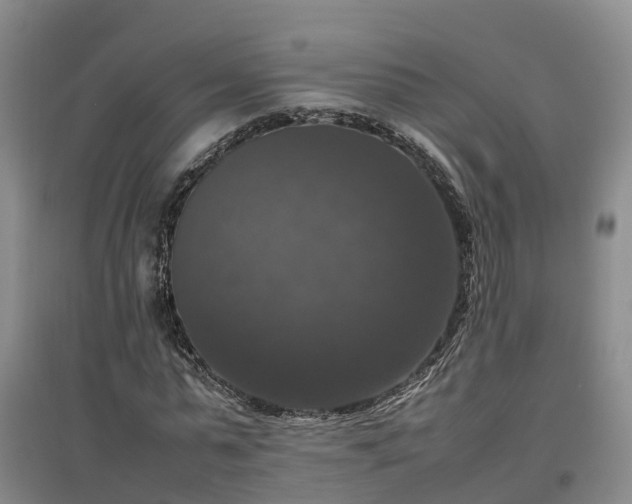 X0000097000775200802151413