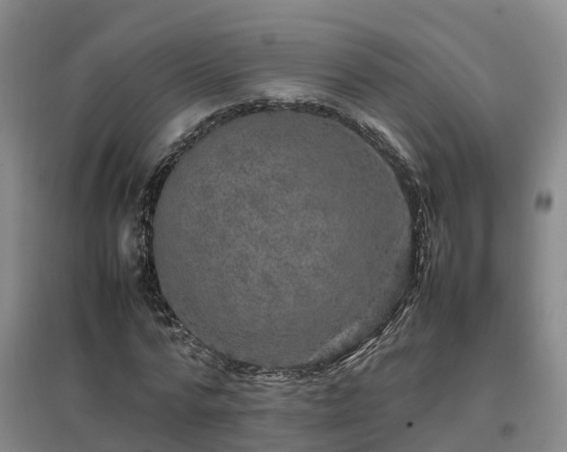 X0000097000776200802151413
