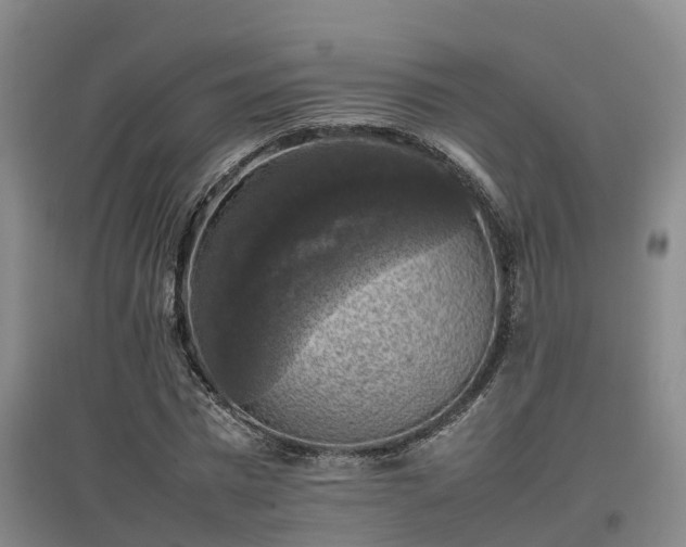 X0000097000777200802151413