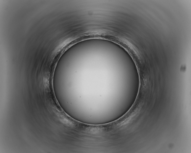 X0000097000778200802151413