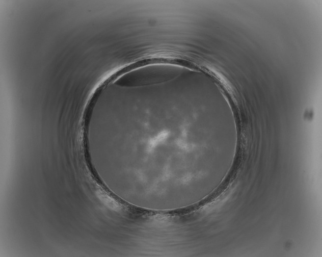 X0000097000779200802151413