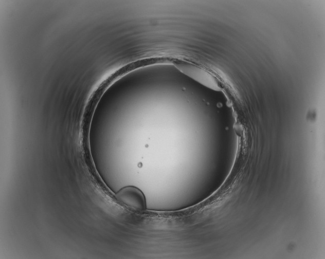 X0000097000780200802151413