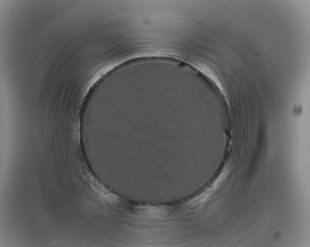 X0000097000781200802151413