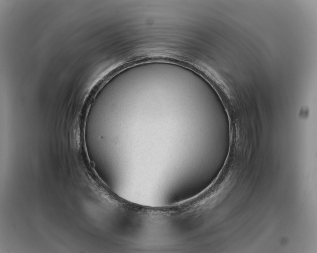 X0000097000782200802151413