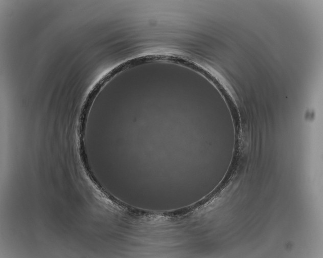 X0000097000783200802151413