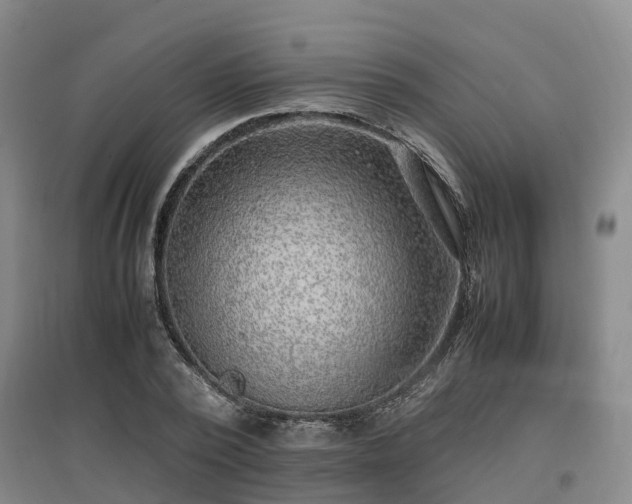 X0000097000784200802151413