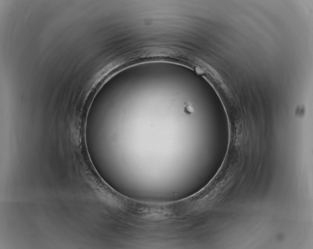 X0000097000786200802151413