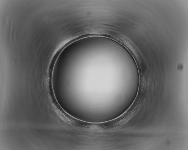 X0000097000787200802151413