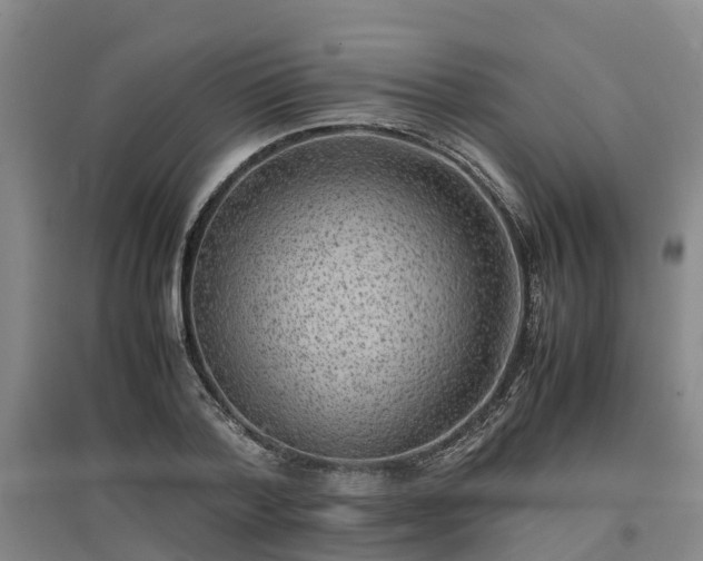 X0000097000788200802151413