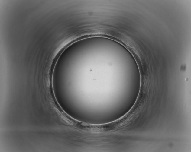X0000097000789200802151413