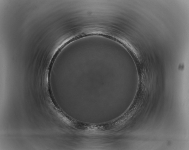 X0000097000790200802151413