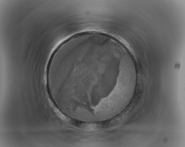 X0000097000791200802151413
