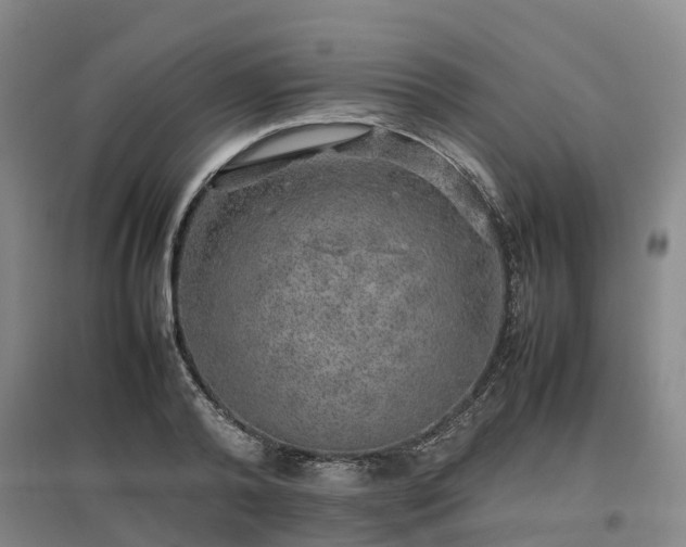 X0000097000792200802151413