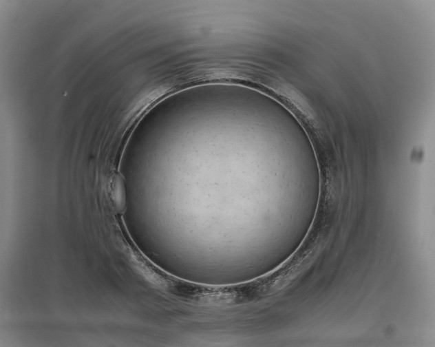 X0000097000793200802151413