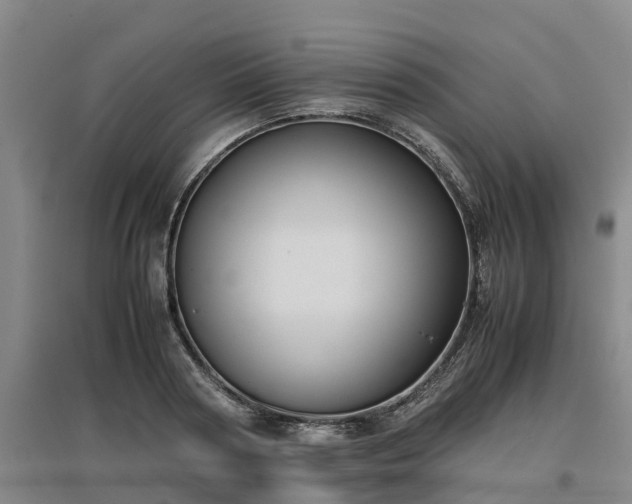 X0000097000794200802151413