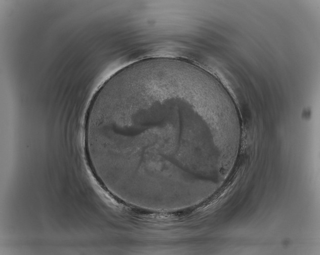 X0000097000795200802151413
