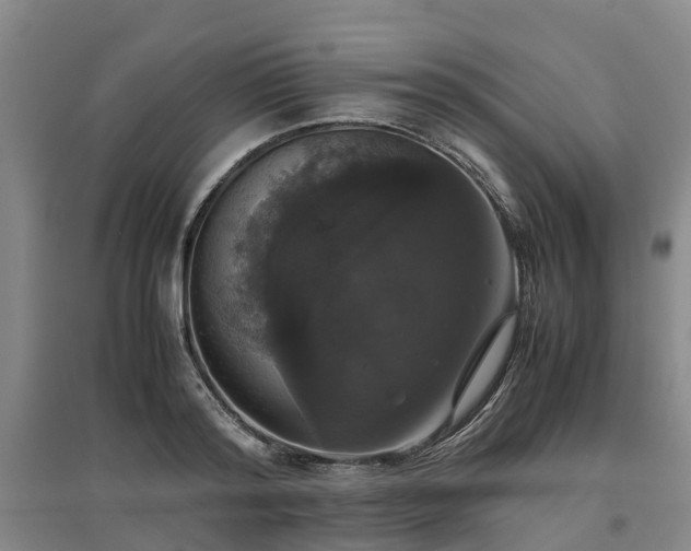 X0000097000796200802151413