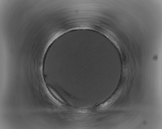 X0000097000797200802151413