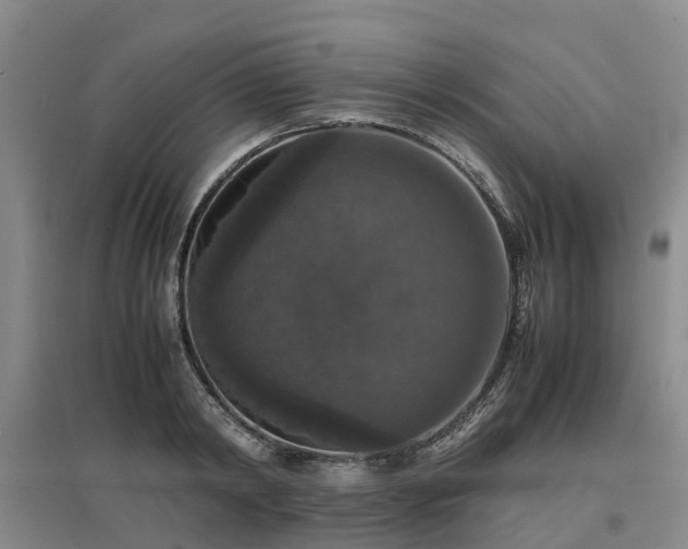 X0000097000798200802151413
