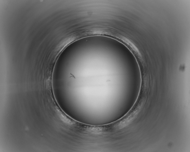 X0000097000801200802151413