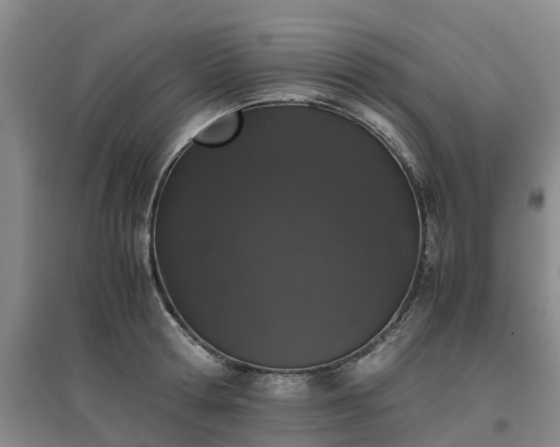 X0000097000802200802151413