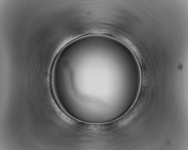 X0000097000803200802151413