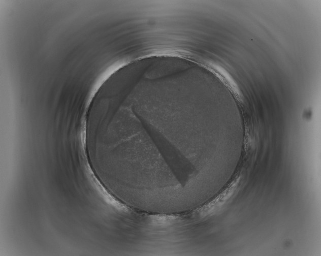 X0000097000804200802151413