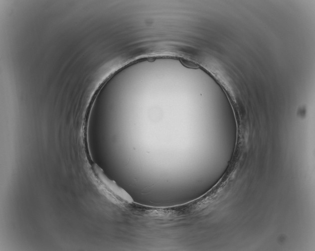 X0000097000805200802151413