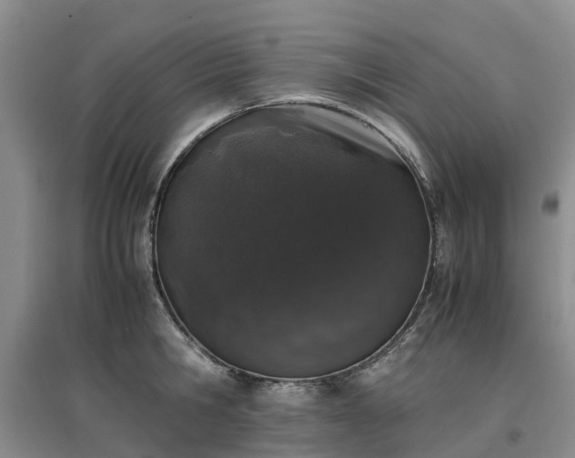 X0000097000806200802151413