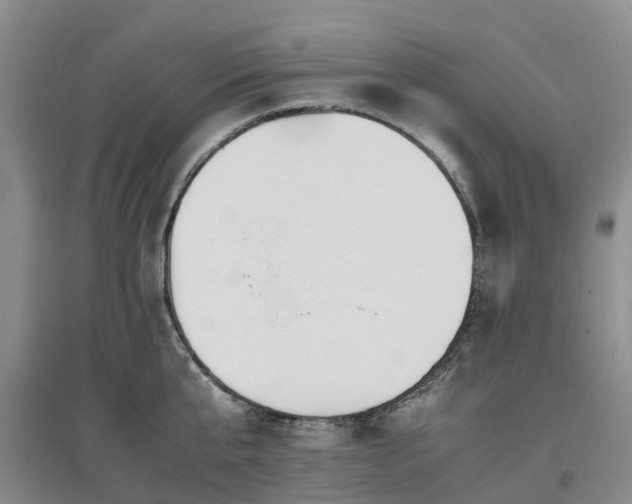 X0000097000807200802151413