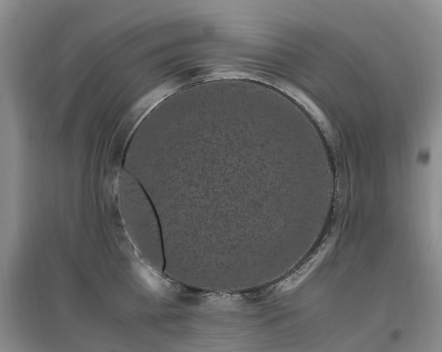 X0000097000809200802151413