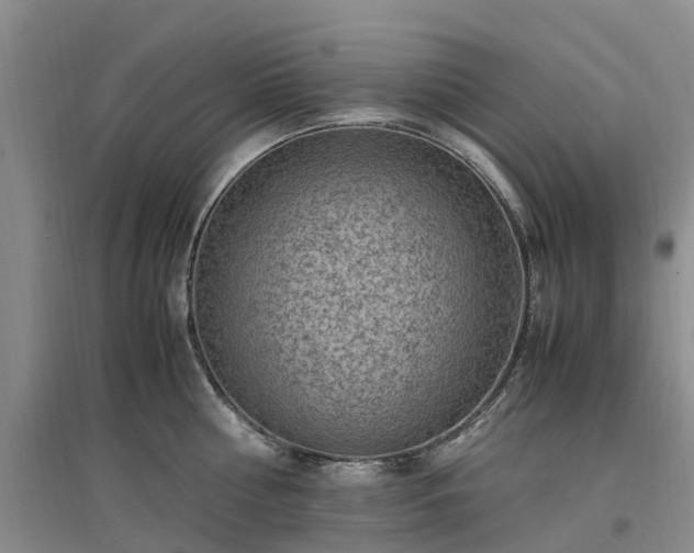 X0000097000810200802151413
