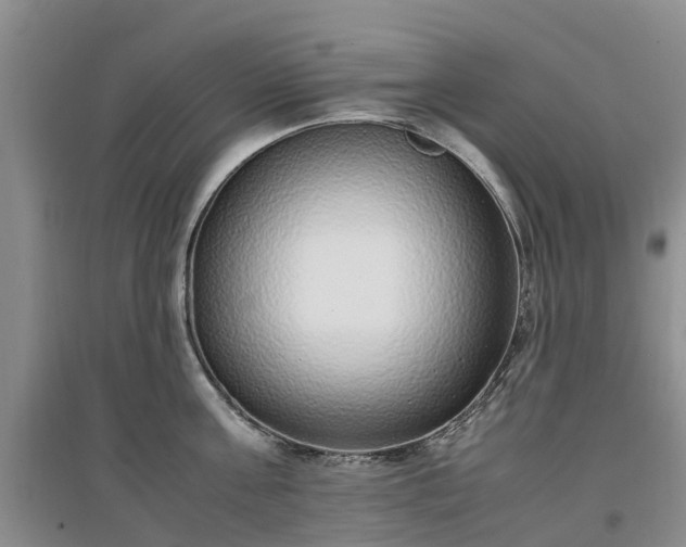 X0000097000811200802151413