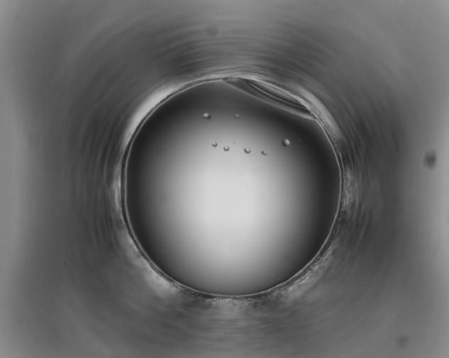 X0000097000812200802151413