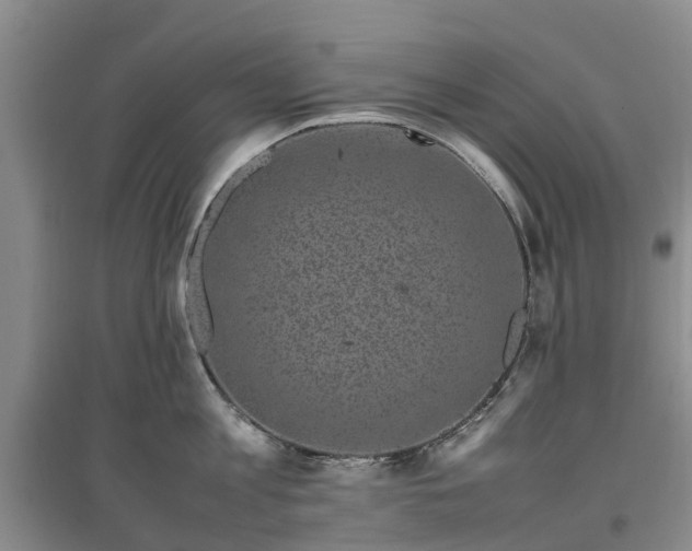 X0000097000813200802151413