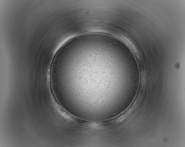 X0000097000814200802151413