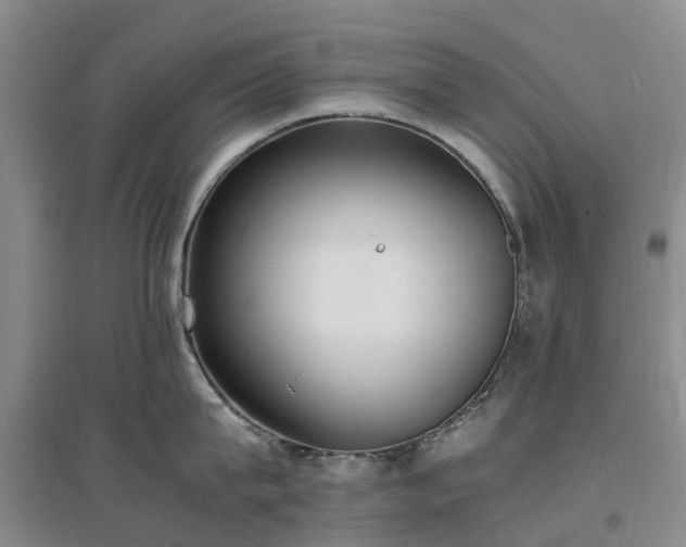 X0000097000815200802151413