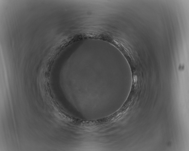 X0000097000817200802151412