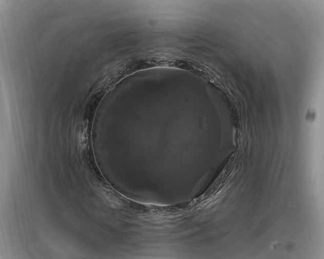 X0000097000818200802151412
