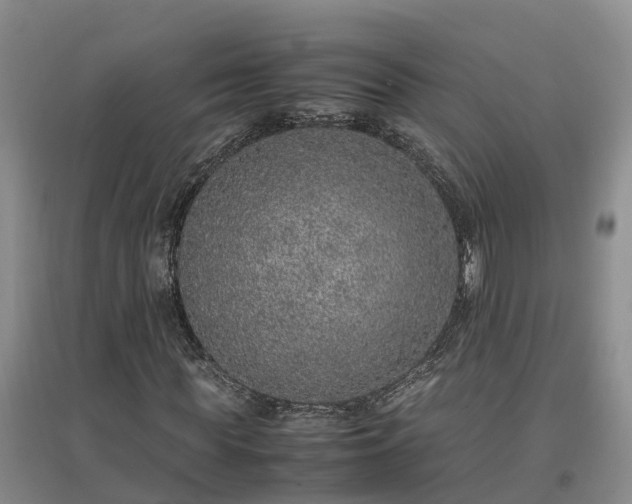 X0000097000819200802151412